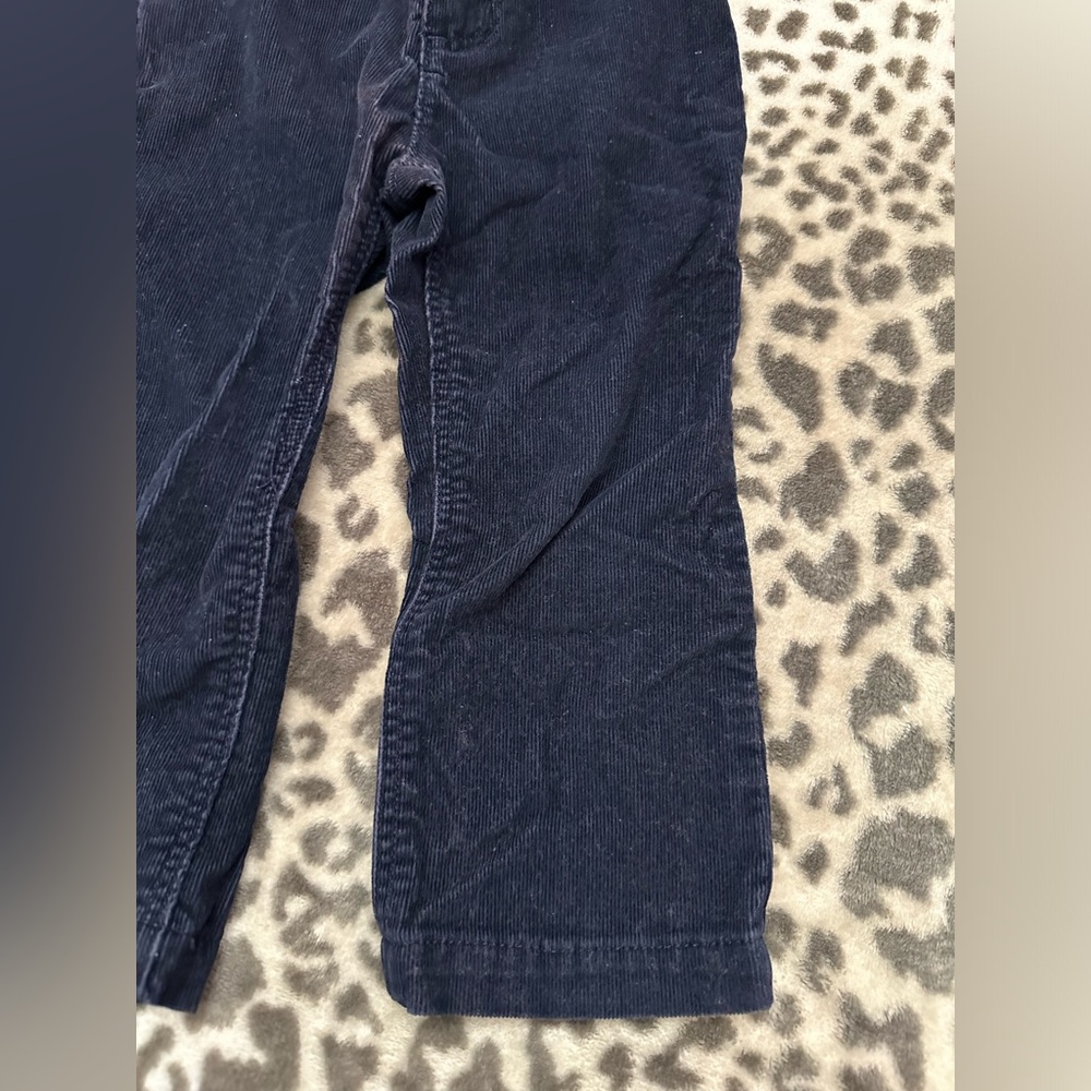 babyGap Corduroy Pants in Blue Size Toddler 2 Years - Picture 4 of 15